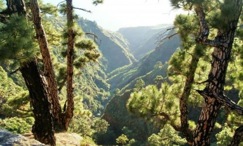 HISZPANIA / La Palma / La Palma / Barranco