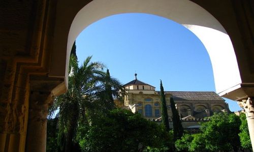 Zdjecie HISZPANIA / Andaluzja / Kordoba / Mezquita Patio de los Naranjes