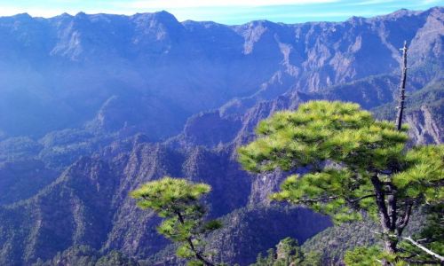HISZPANIA / La Palma / La Palma / Zbocze krateru Caldera de Taburiente