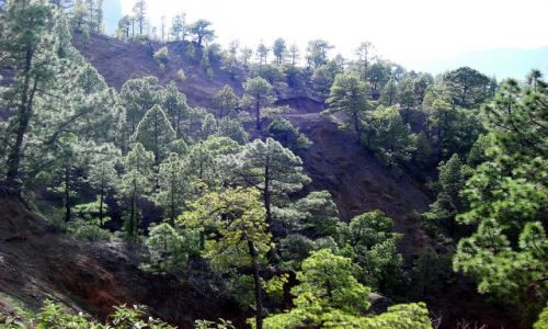 HISZPANIA / La Palma / La Palma / Zbocze krateru Caldera de Taburiente (2)