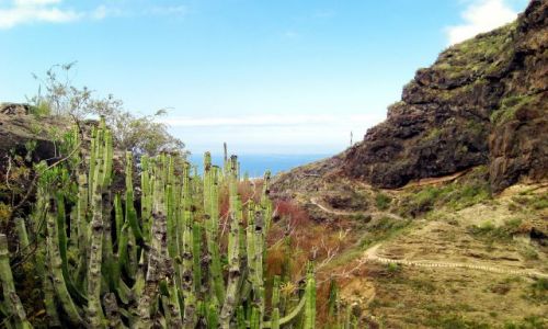 HISZPANIA / Teneryfa / Teneryfa / Wewntrz przeczy Barranco del Infoerno
