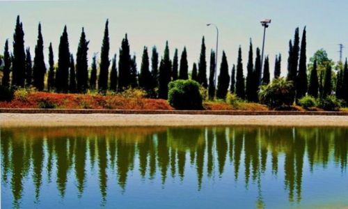 Zdjęcie HISZPANIA / Andaluzja / Malaga - okolice; na drodze do Antequera / Ogród Botaniczny La Concepcion