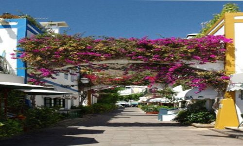 Zdjęcie HISZPANIA / Gran Canaria / La Playa de Mogan / uliczka