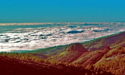 Zdjecie HISZPANIA / Teneryfa / w drodze na Teide / Mar de Nubes - Morze chmur