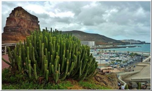 Zdjecie HISZPANIA / Wyspy Kanaryjskie / Gran Canaria / W Puerto Rico