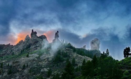 Zdjecie HISZPANIA / Gran Canaria / Gran Canaria / w drodze na Roque Nublo