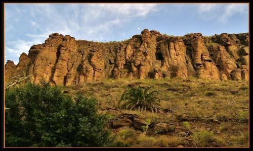 Zdjecie HISZPANIA / Gran Canaria / u wejcia do Palmitos Park / O zmierzchu 
