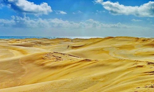 Zdjęcie HISZPANIA / Gran Canaria / Playa de Ingles / Dunes w Playa de Ingles