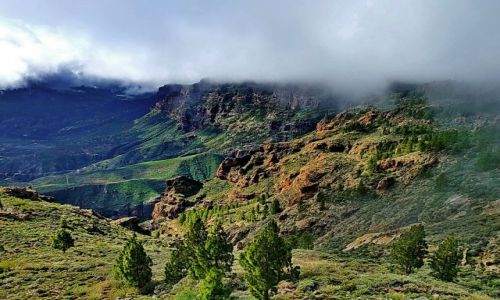 Zdjęcie HISZPANIA / Gran Canaria / blisko Pico de las nieves / Ze szlaku