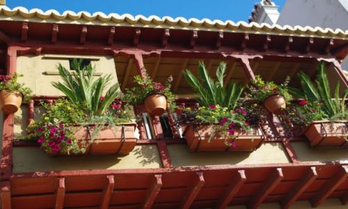 Zdjcie HISZPANIA / Wyspy Kanaryjskie, La Palma / Santa Cruz, starwka / Balkon