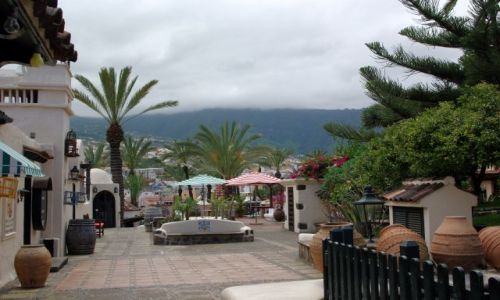 Zdjęcie HISZPANIA / Wyspy Kanaryjskie, Teneryfa / Los Realejos / Los Realejos