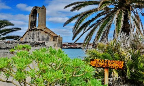 Zdjcie HISZPANIA / Teneryfa / Chamborga / Kociek na kocu szlaku od Chamborgi