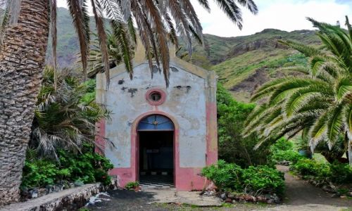 Zdjcie HISZPANIA / Teneryfa / Chamborga / May kociek gdzie na szlaku 