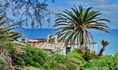 Zdjcie HISZPANIA / Teneryfa / Chamborga / Ruiny w dungli