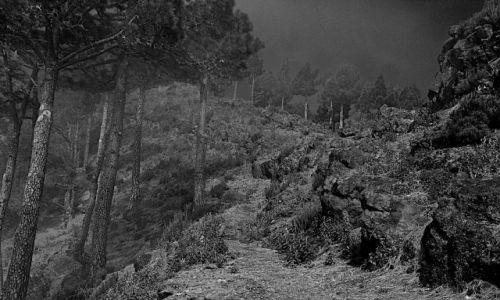 Zdjecie HISZPANIA / Wyspy Kanaryjskie / La Palma / sloneczna mgla
