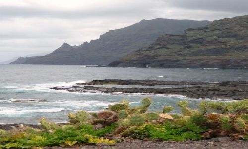Zdjecie HISZPANIA / Teneryfa / Punta del Hidalgo / Klify w Punta del Hidalgo