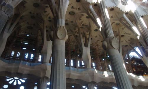 Zdjecie HISZPANIA / - / Barcelona / Sagrada Familia w trakcie budowy - wntrze.