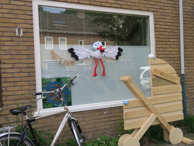 Zdj cia: Zwolle, Zwolle, Powitanie nowego członka rodziny, HOLANDIA Zdj cia: Zwolle, Zwolle, Powitanie nowego członka rodziny, HOLANDIA