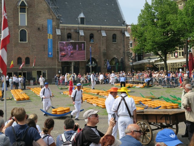 Zdj cia: Alkmaar, Alkmaar, Targ serów, HOLANDIA Zdj cia: Alkmaar, Alkmaar, Targ serów, HOLANDIA