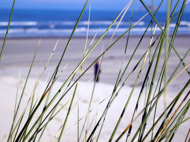 Zdjęcia: ameland, Ameland (Friesland), Ameland plaża, HOLANDIA Zdjęcia: ameland, Ameland (Friesland), Ameland plaża, HOLANDIA