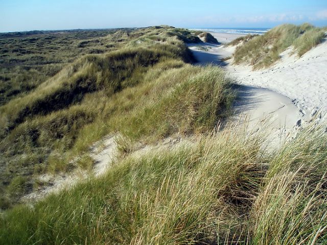 Zdjęcia: ameland, Ameland (Friesland), Ameland, HOLANDIA Zdjęcia: ameland, Ameland (Friesland), Ameland, HOLANDIA