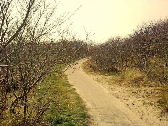 Zdjęcia: Texel, Friesland, Texel Island (rowerkiem), HOLANDIA Zdjęcia: Texel, Friesland, Texel Island (rowerkiem), HOLANDIA