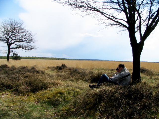Zdjęcia: w parku, HOLANDIA Zdjęcia: w parku, HOLANDIA