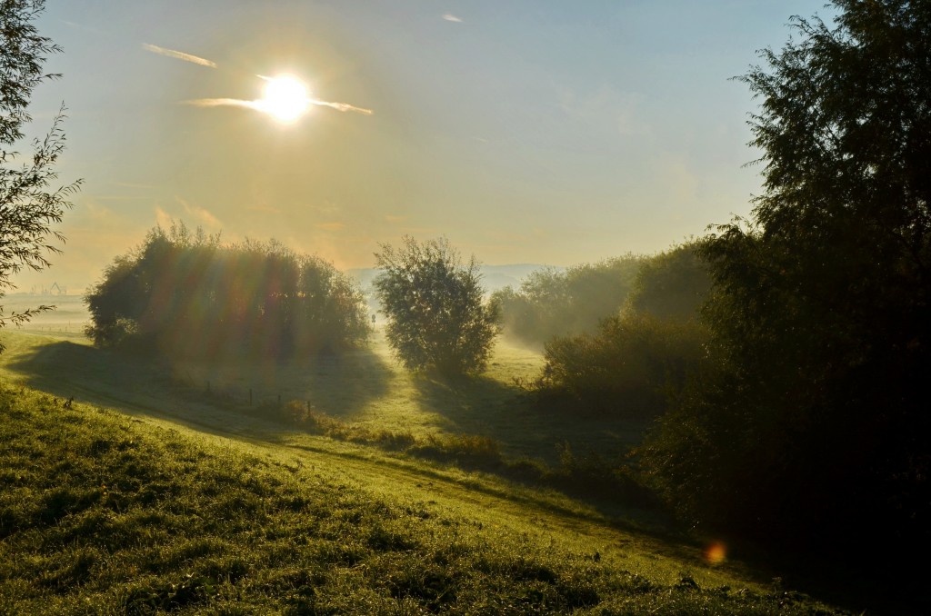 Zdjęcia: Ochten, Geldria, Poranek nad rzeką, HOLANDIA Zdjęcia: Ochten, Geldria, Poranek nad rzeką, HOLANDIA