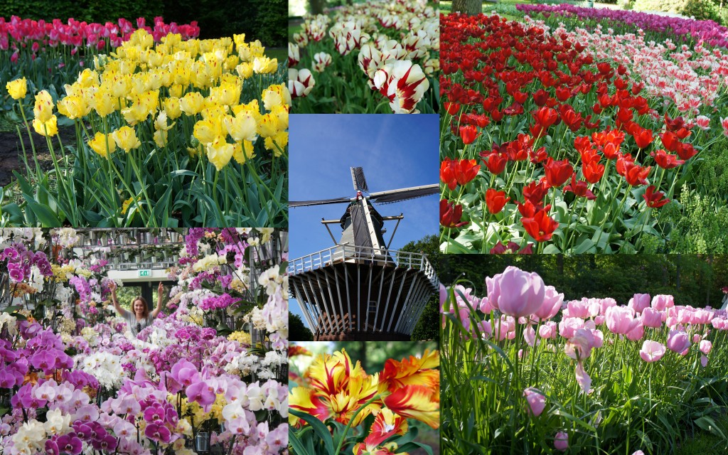 Zdjęcia: Amsterdam, Amsterdam, Podróże, HOLANDIA Zdjęcia: Amsterdam, Amsterdam, Podróże, HOLANDIA