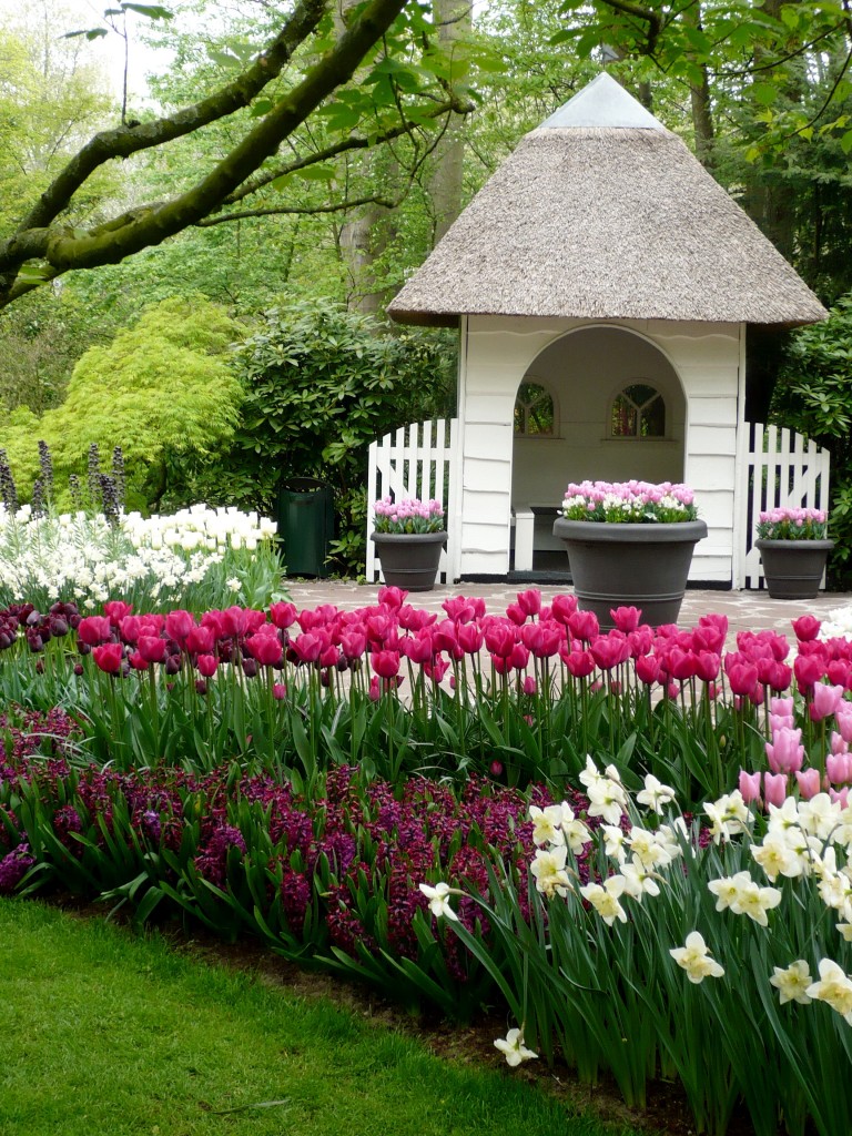 Zdjęcia: Keukenhof, Lisse, Keukenhof Garden, HOLANDIA Zdjęcia: Keukenhof, Lisse, Keukenhof Garden, HOLANDIA