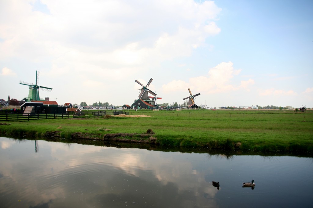 Zdjęcia: Zaanse Schans, Zaandam, Holandia Północna, Wiatraki Zaanse Schans, HOLANDIA Zdjęcia: Zaanse Schans, Zaandam, Holandia Północna, Wiatraki Zaanse Schans, HOLANDIA