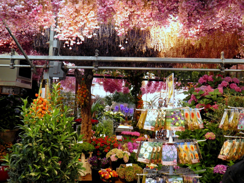 Zdjęcia: Amsterdam, Amsterdam-2, HOLANDIA Zdjęcia: Amsterdam, Amsterdam-2, HOLANDIA