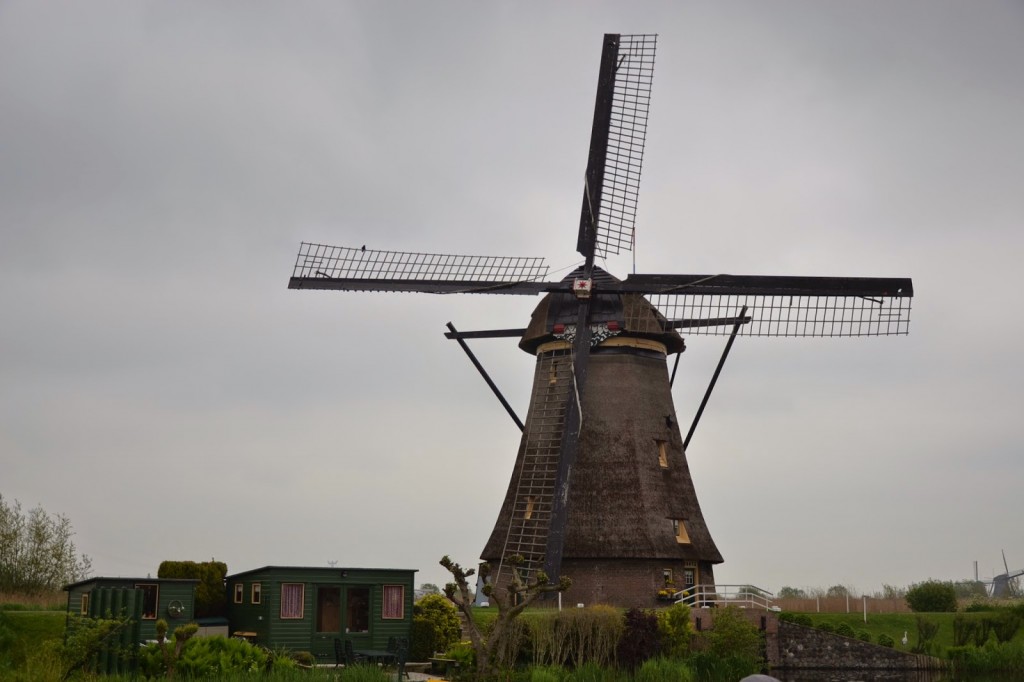 Zdjęcia: Kinderdijk, Holandia Południowa, Wiatraki w Kinderdijk, HOLANDIA Zdjęcia: Kinderdijk, Holandia Południowa, Wiatraki w Kinderdijk, HOLANDIA