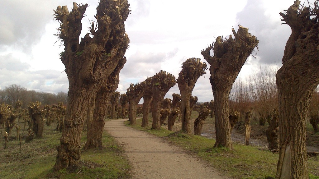 Zdjęcia: Rhoon, Zuid Holland, nad starą Mozą w Rhoon, HOLANDIA Zdjęcia: Rhoon, Zuid Holland, nad starą Mozą w Rhoon, HOLANDIA