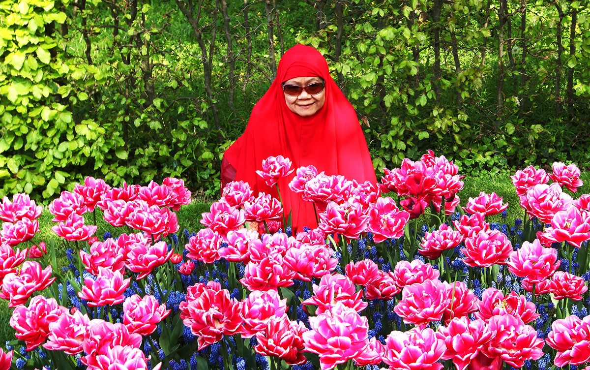 Zdjęcia: Ogrody Keukenhof, Amsterdam, Ukwiecona, HOLANDIA Zdjęcia: Ogrody Keukenhof, Amsterdam, Ukwiecona, HOLANDIA