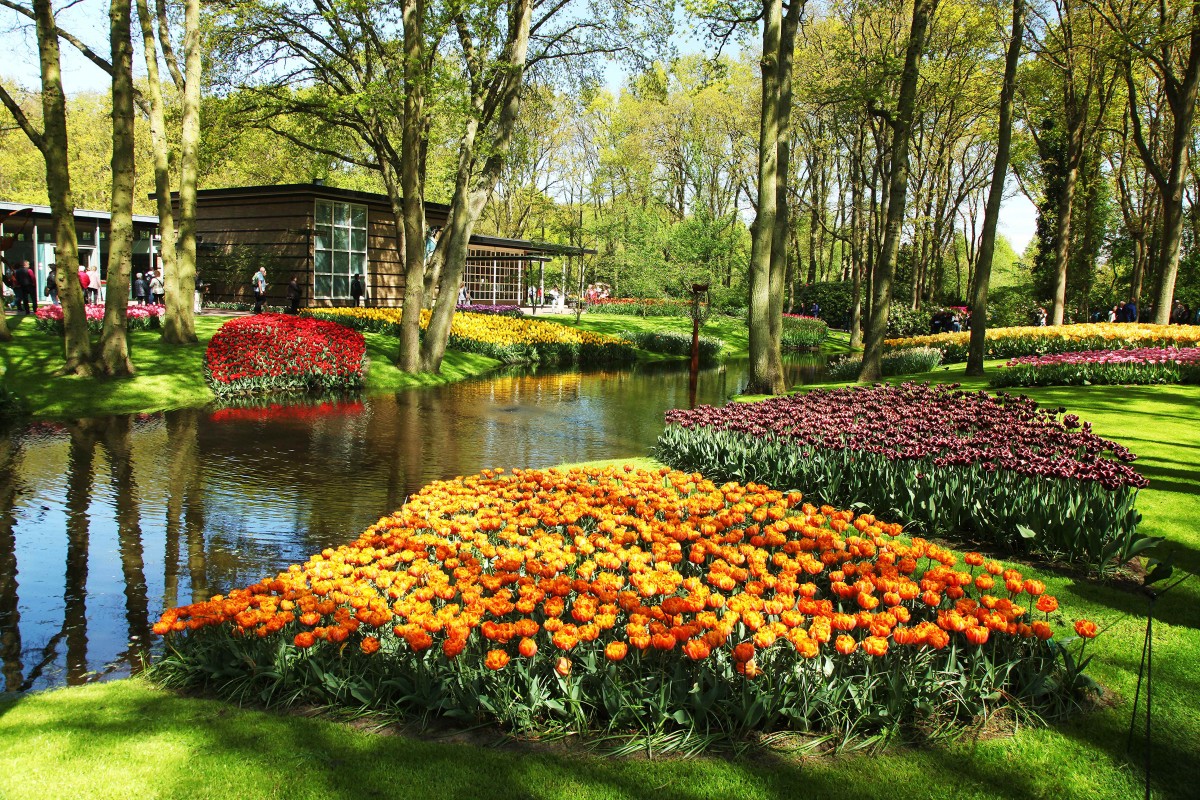 Zdjęcia: Ogrody Keukenhof, Amsterdam, Nad wodą, HOLANDIA Zdjęcia: Ogrody Keukenhof, Amsterdam, Nad wodą, HOLANDIA