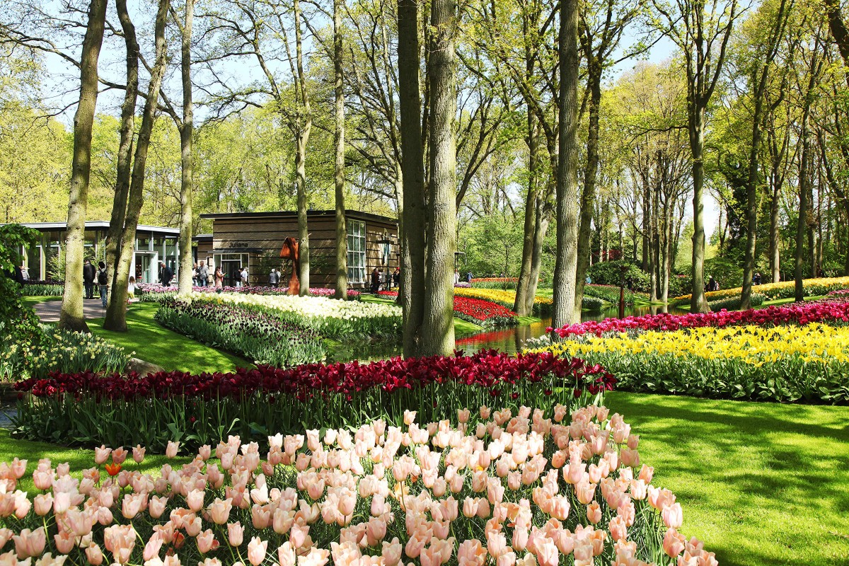 Zdjęcia: Ogrody Keukenhof, Amsterdam, Feria barw, HOLANDIA Zdjęcia: Ogrody Keukenhof, Amsterdam, Feria barw, HOLANDIA