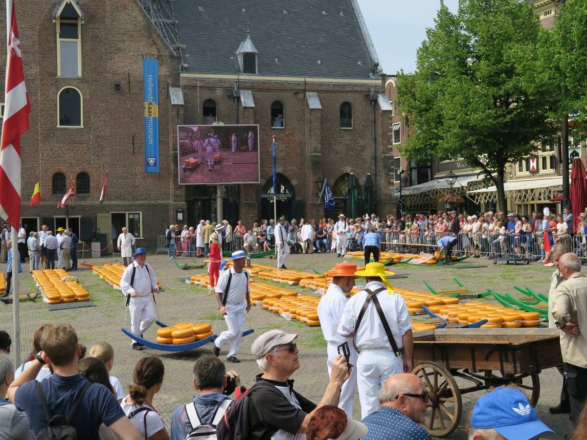 Zdjęcia: Alkmaar, Alkmaar, Targ serów, HOLANDIA Zdjęcia: Alkmaar, Alkmaar, Targ serów, HOLANDIA