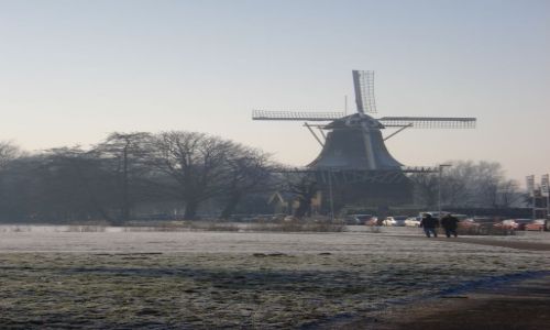 Zdjecie HOLANDIA / Zuid Holland / Rotterdam / Impresje holenderskie 1