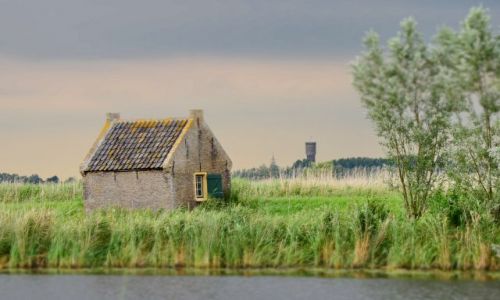 Zdjcie HOLANDIA / zuid holland / Kinderdijk / Domek wrd traw