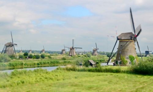 Zdjecie HOLANDIA / zuid holland / Kinderdijk / Myny !