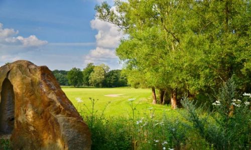 Zdjcie HOLANDIA / Overijssel / Losser / Wycity kamie