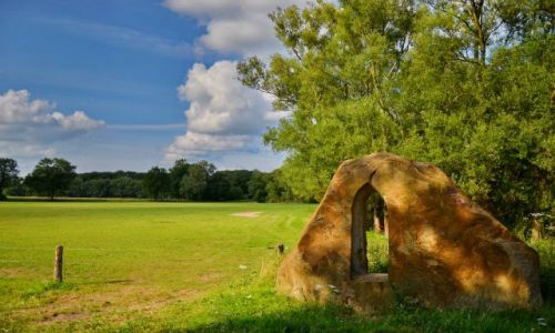 Zdjcie HOLANDIA / Overijssel / Losser / Skaa na skraju ki
