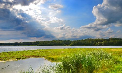 Zdjcie HOLANDIA / Overijssel / Losser / Staw dla kaczek i innych ptakw