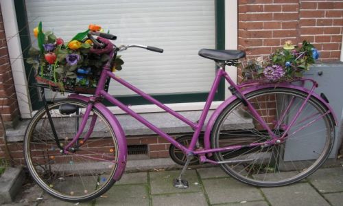 Zdjecie HOLANDIA / Holandia pnocna / Amsterdam / amsterdamskie rowery