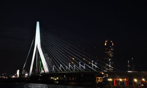 Zdjecie HOLANDIA / Zuid Holland / Rotterdam / Erasmusbrug