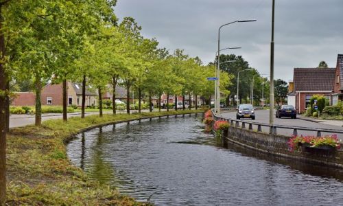Zdjcie HOLANDIA / Drenthe / Leek / Drzewostan nad kanaem