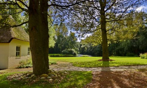 Zdjcie HOLANDIA / Drenthe / Leek / Pocztki jesieni