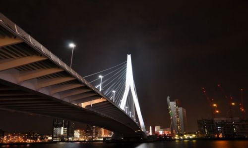 Zdjęcie HOLANDIA / Zuid Holland / Rotterdam / Erasmusbrug noca