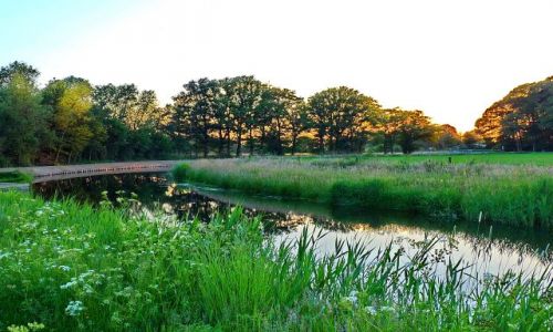 Zdjcie HOLANDIA / Overijssel / Zenderen / Spacerujc nad kanaem